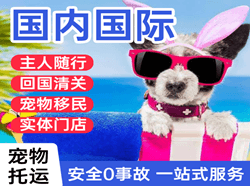 金昌金川机场快递国际宠物托运 【国